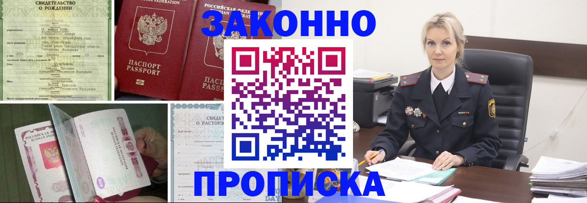 прописка 2025 в Ельне